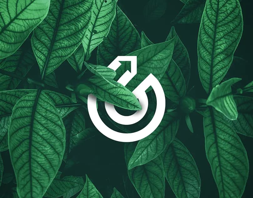 Grano Invest · Identidade Visual