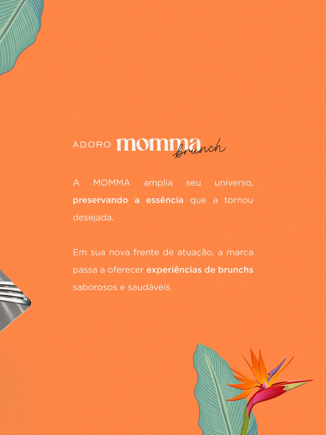 Momma Doces Saudáveis: peça 3